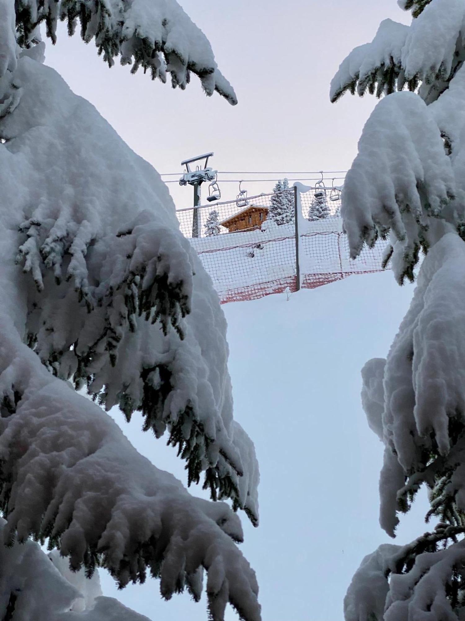 Naturhaus Loacker Lech am Arlberg Exterior foto